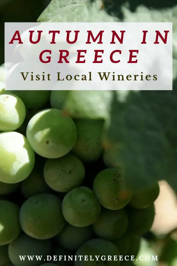 autumn in Greece - grapes pin
