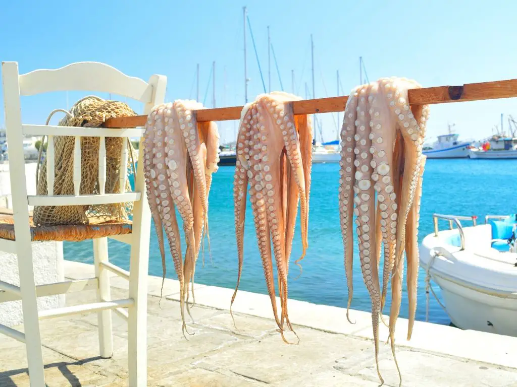 Octopus-food-naxos-boat